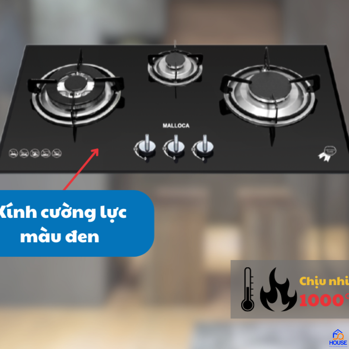 Bếp gas âm Malloca GHG 733B New 